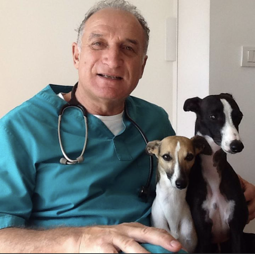 Ambulatorio Veterinario Vulpecula, Marangon Dr. Mario - Thumbnail