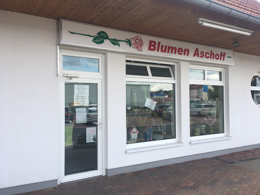 Blumen-Aschoff GbR - Visual