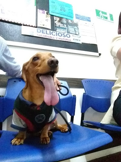 Photos of EVI - Veterinary Services