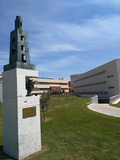 Facultad de Ciencia y Tecnología - Thumbnail