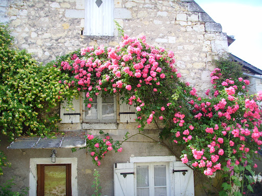 Photo de Gîte la petite maison