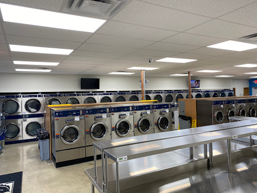 Splash Laundry - Visual