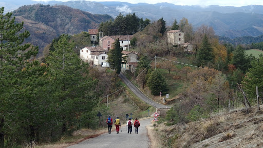 Collina - Visual