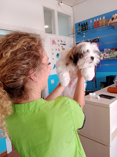 Centro Veterinario Guadaira