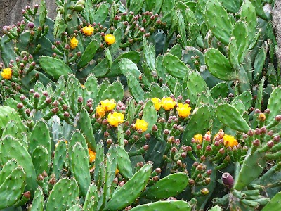 Photos of Florencio Varela Zoo