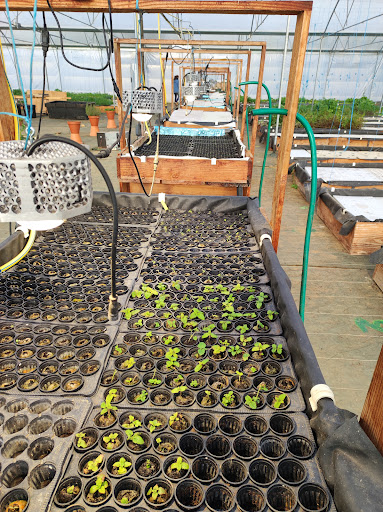 HORTI FRANCE - Thumbnail