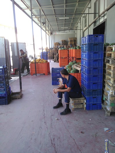Photos of Başgimpa