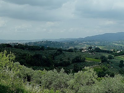 Montefalco