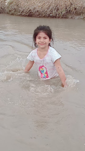 Asociación Ollanta Humala Tasso - San Vicente de Cañete