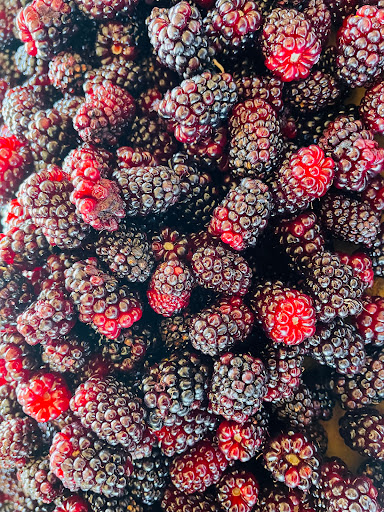 Mernda fresh- Fruit & Veg Gallery - Australia