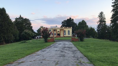 Hindu Buddha Temple