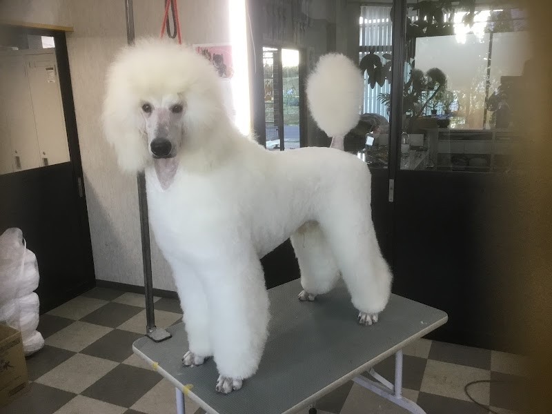 佐野鈑金（株） あーちゃんハウス