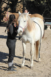 Photo n°25 de Poney Club La Souca à Grabels (Centre équestre)