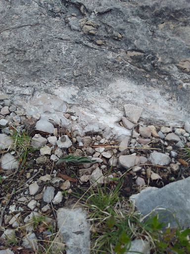 Teperueda - Visual