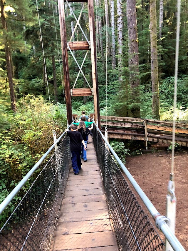 Drift Creek Falls Trail 1378 (Trail Head)