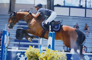 Photo n°14 de Haras de Signy-l'Abbaye à Signy-l'Abbaye (Éleveur de chevaux)