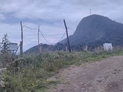 Photos of Planta claro ubaque
