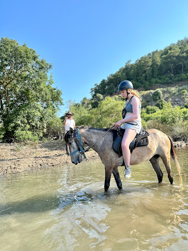 Caunos Horses
