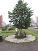 Фотография КБ Восточный экспресс банк, Братск, Россия