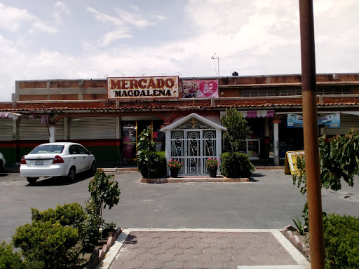 Mercado Magdalena Atlicpac
