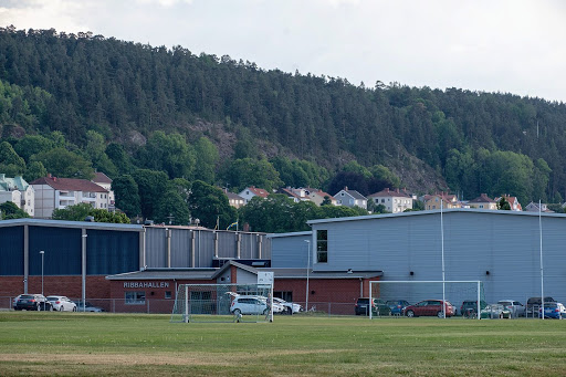 Ribbahallen - Visual
