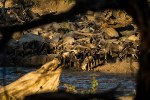 Photo n°16 de Sous l'Acacia | Safaris & voyages sur-mesure à Lyon (Agence de voyages)