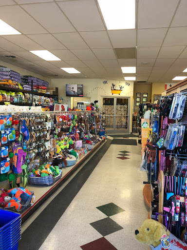 Tia's Tub 'n Toys Pet Store - Thumbnail