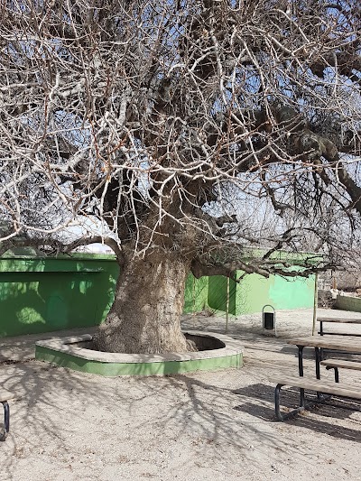 Photos of Şehit Mehmet C&uuml;c&uuml;k Camii