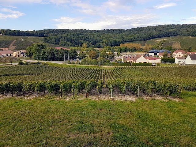 Champagne Louis Huot Fils