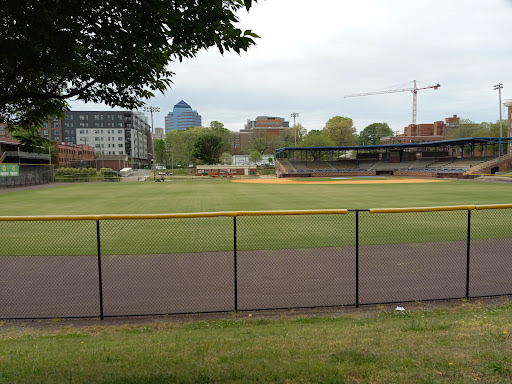 Historic Durham Athletic Park - Thumbnail