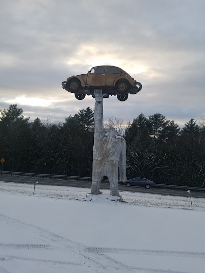 Gorilla Holding a VW Beetle