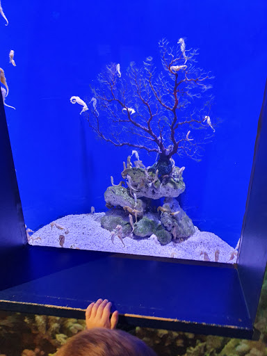 Aquarium World Cairns - Thumbnail