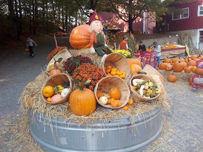 Photos of Butler's Orchard
