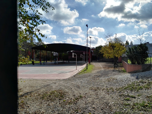 CFA L'ALZINA