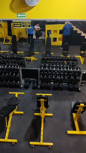 Work fit gym - Thumbnail