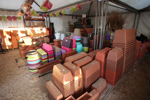 Agricola Galtelli Roma - Thumbnail