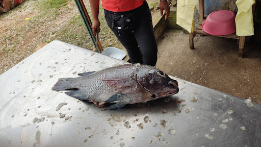 Pescaderia chable - Visual