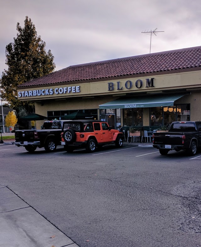 Bloom