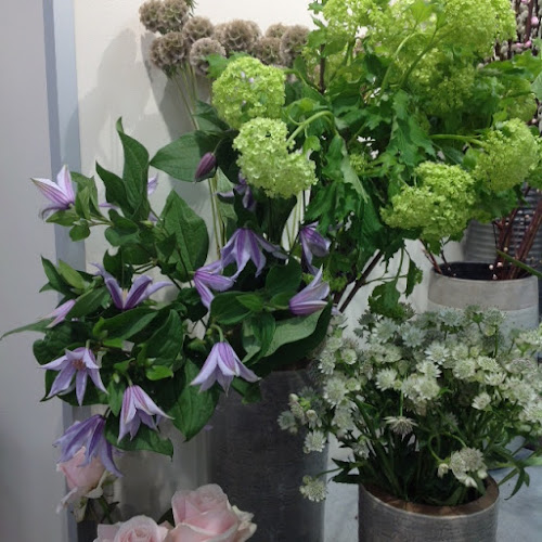 Couleurs Fleurs - Reims