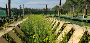 Photo n°1 de Chateau des Helix à Couture-d'Argenson (Ferme d'élevage)