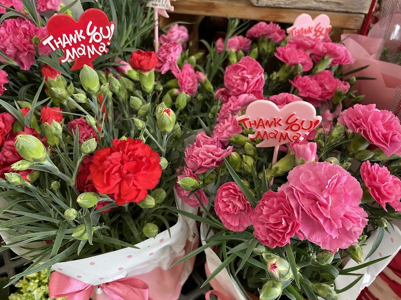 サンデー 八戸根城店