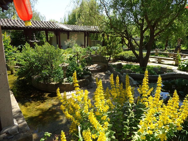 Jardin Yili