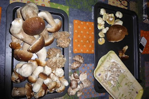 Photo n°9 de Le poirier au loup, rest-ô-livre à Avallon (Caviste)