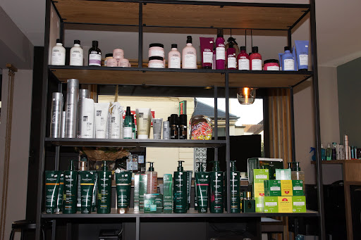 SALON DANIEL STEPHAN ETRECHY - Thumbnail