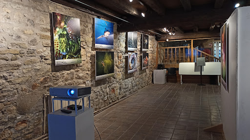 Sala De Exposiciones Xempelar Etxea