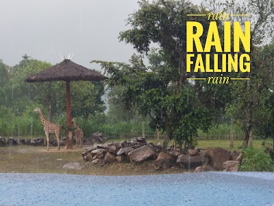 Photos of Baobab Safari Resort
