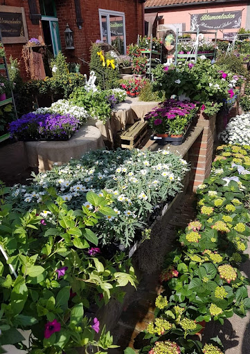 Blumen und Leben / Inh. Olaf Groenig - Thumbnail