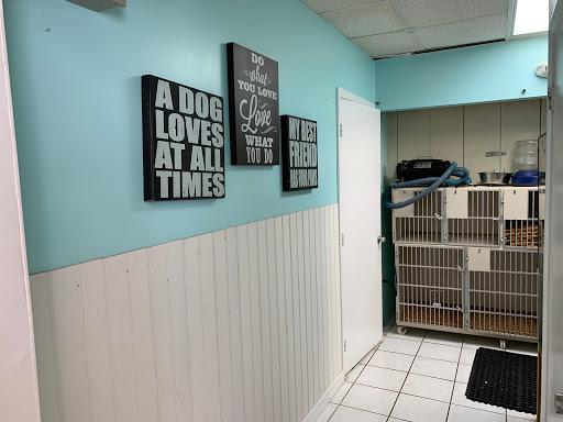 Jolly Mutt Pet Grooming Salon Gallery - United States