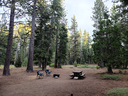 William Kent Campground - Thumbnail