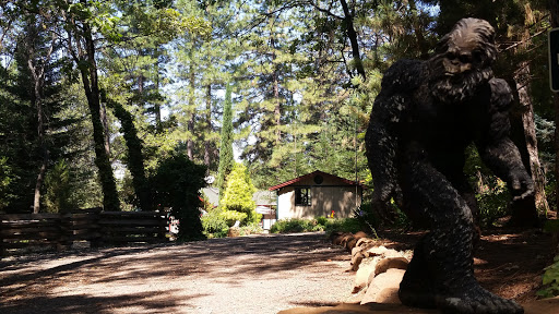 Squatch Ranch - Visual
